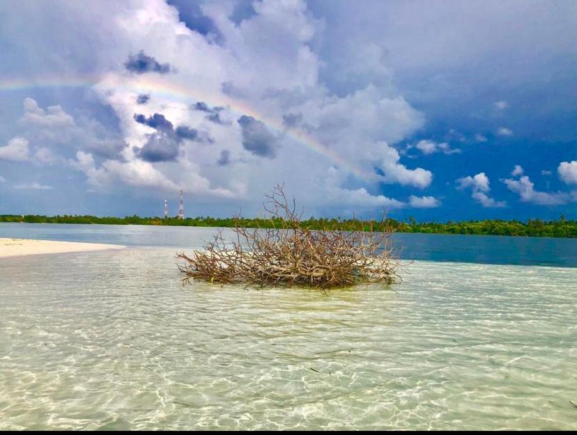 Sunview Residence Kaashidhoo Экстерьер фото